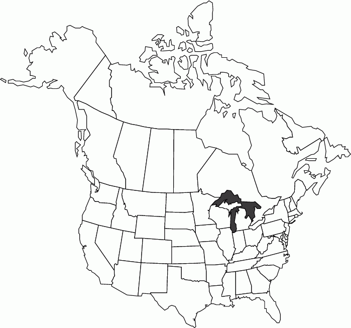 Abcteach Printable Worksheet USA And Canada Outline Map