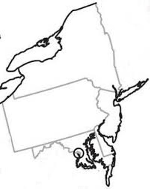 Mid Atlantic States Blank Map
