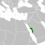 40 Maps That Explain The Middle East