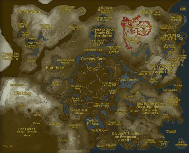 Blank Botw Map Google Search Legend Of Zelda Memes Legend Of Zelda 