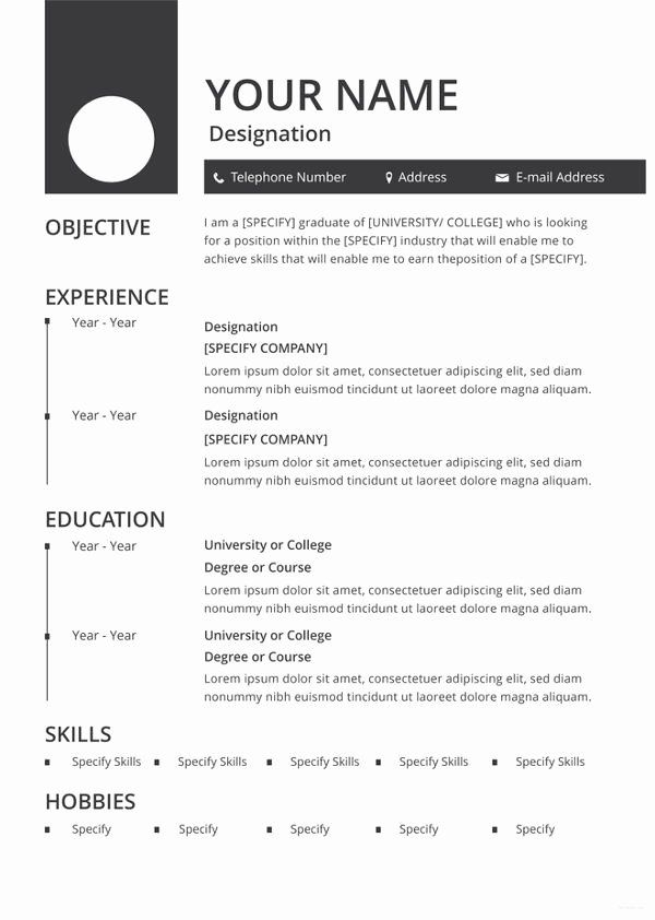 Blank Resume Template Pdf Lovely 46 Blank Resume Templates Doc Pdf 