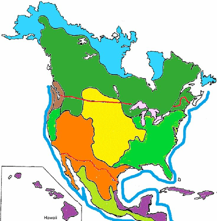 Color The Biomes Of North America North America Map Biomes America Map