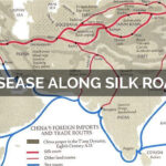 Disease Along Silk Road By Laura Taylor