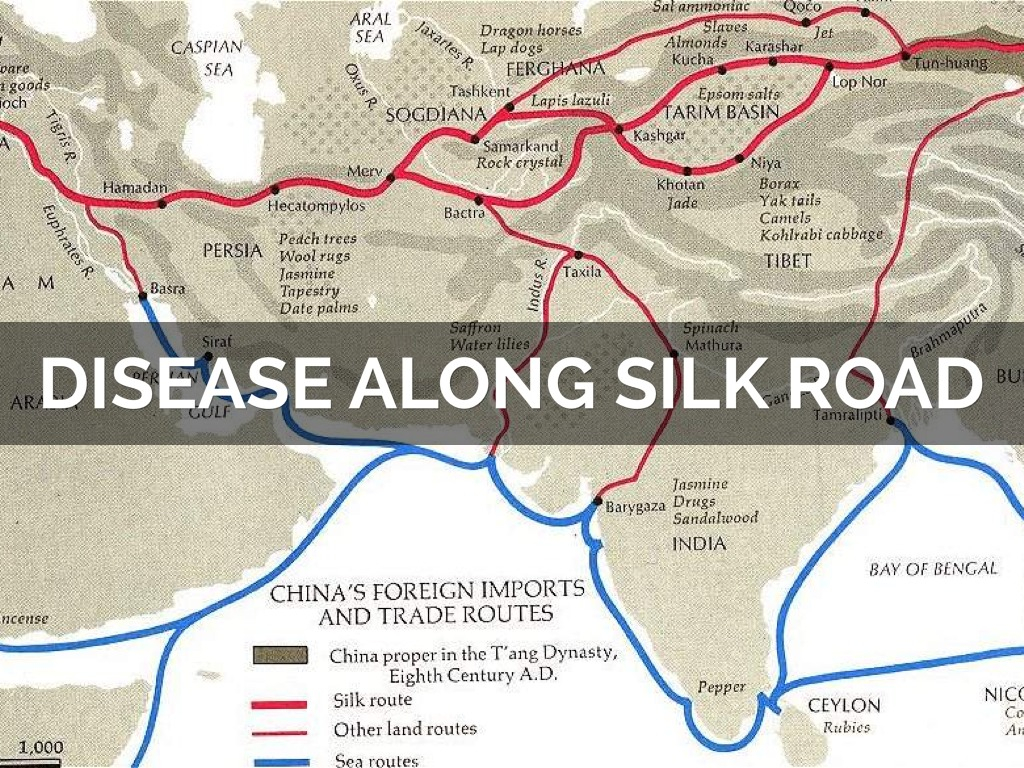 Disease Along Silk Road By Laura Taylor