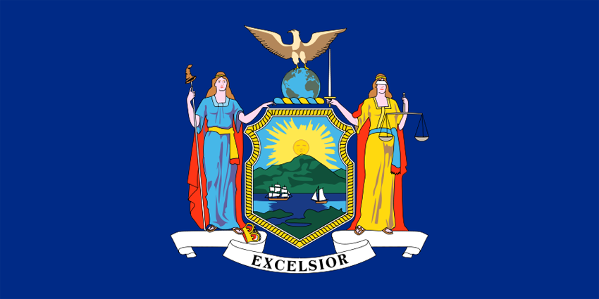 New York State Information Symbols Capital Constitution Flags