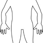 Free Human Body Outline Printable Download Free Clip Art In Blank Body