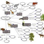 Biome Concept Map Fill In The Blank Biomes Concept Map Geography
