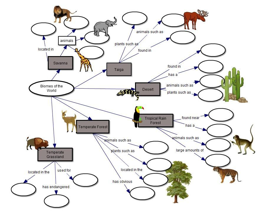 Biome Concept Map Fill In The Blank Biomes Concept Map Geography 