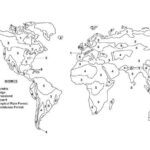Biomes Concept Map Answer Key World Map Gray