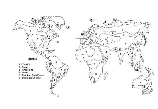 Biomes Concept Map Answer Key World Map Gray